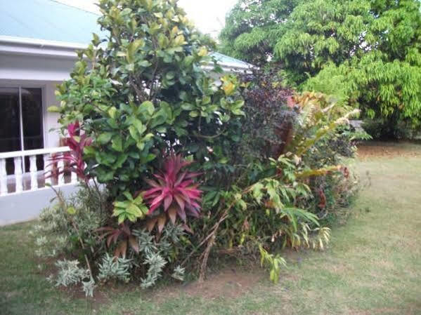 Вилла Marl Self Catering Pointe La Rue Экстерьер фото